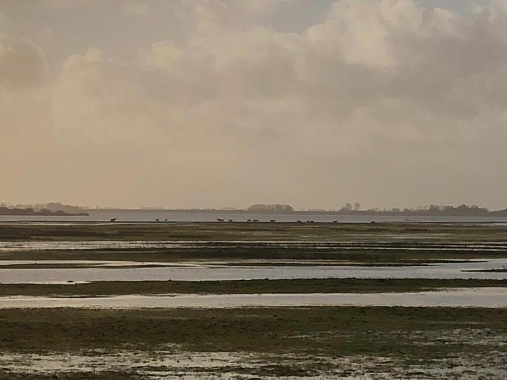Gerkesklooster Onder De Boom Bed & Breakfast エクステリア 写真