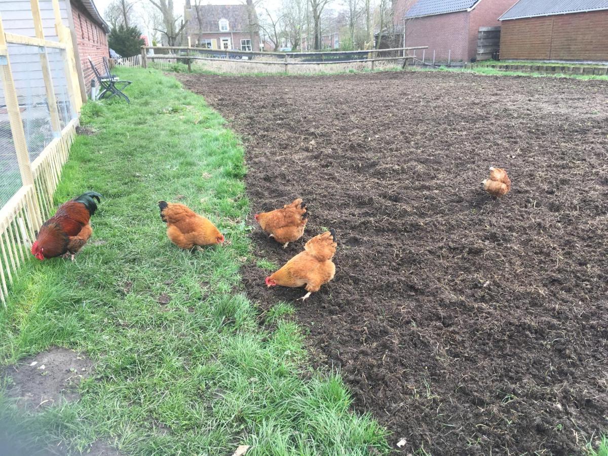 Gerkesklooster Onder De Boom Bed & Breakfast エクステリア 写真