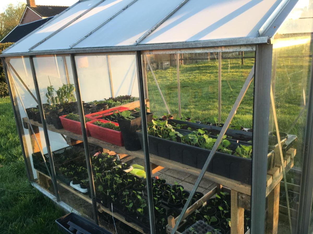 Gerkesklooster Onder De Boom Bed & Breakfast エクステリア 写真