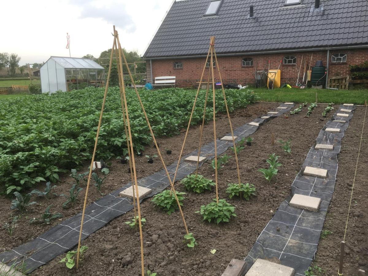 Gerkesklooster Onder De Boom Bed & Breakfast エクステリア 写真